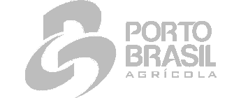 Porto Brasil